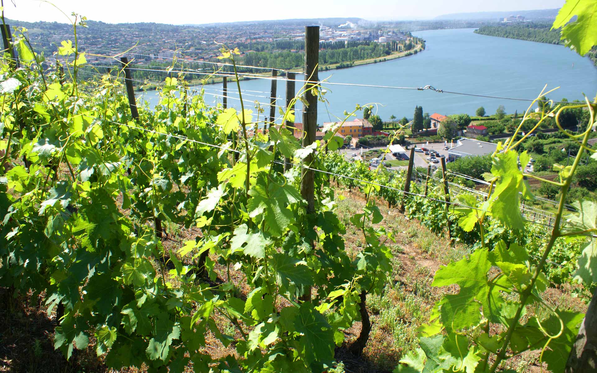 Clusel-Roch en Vallee du Rhône