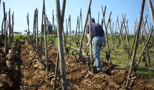 Maîtrise de l'herbe