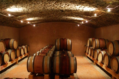 vinification-cave